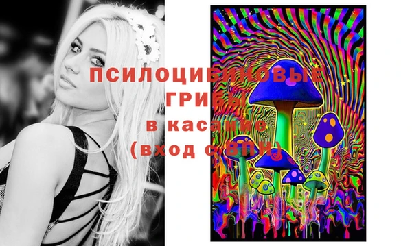 тгк Бронницы